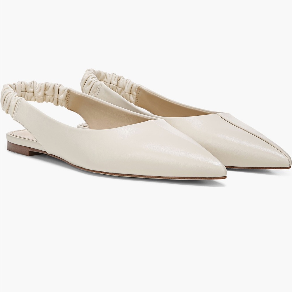 Like New Sam Edelman Whitney Pointed Toe Flat